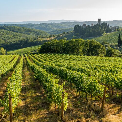Website Villa Fioriamo vakantieverblijf Toscane